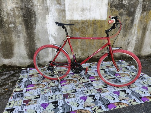City bike uomo con ruote - city,